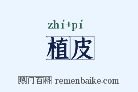 植皮是什么意思的图片